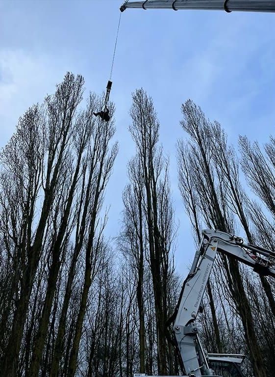 Ein Mann hängt in einem Wald an einem Kran.
