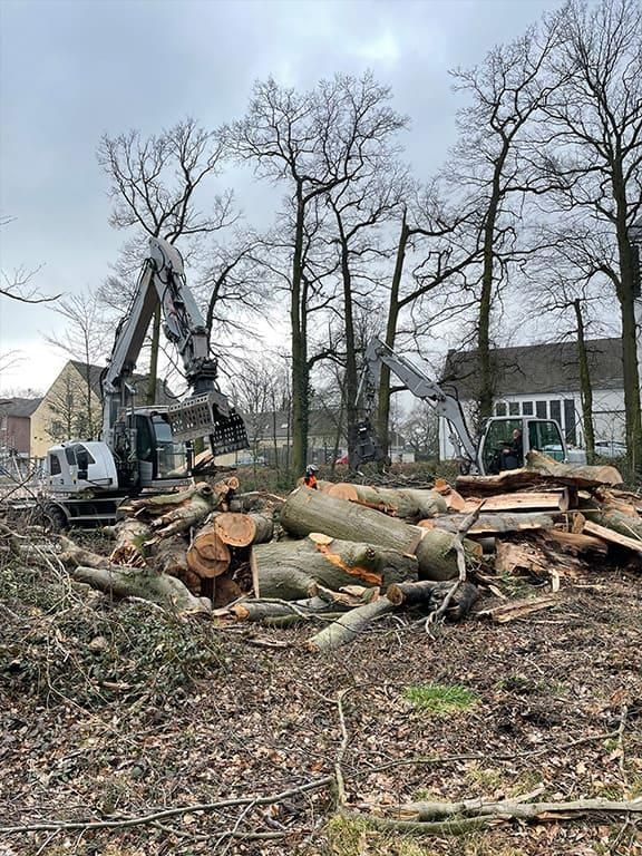 Ein Stapel Holzstämme liegt mitten im Wald neben einem Haus.