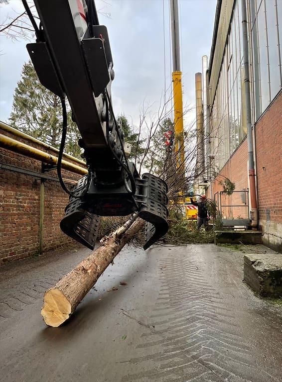 Ein großer Baumstamm wird von einem Kran angehoben.