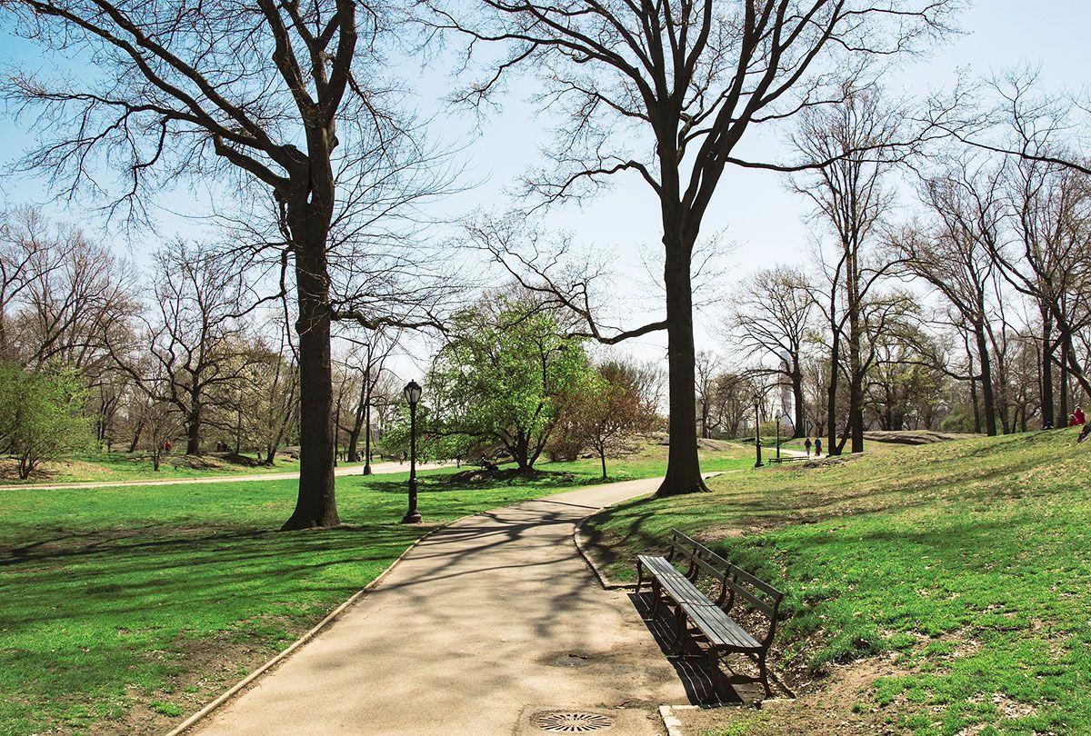 Ein Park mit Bäumen und einer Bank am Wegesrand.