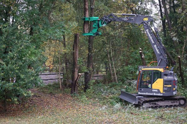 Baumfällung von Baumdienst Breuker