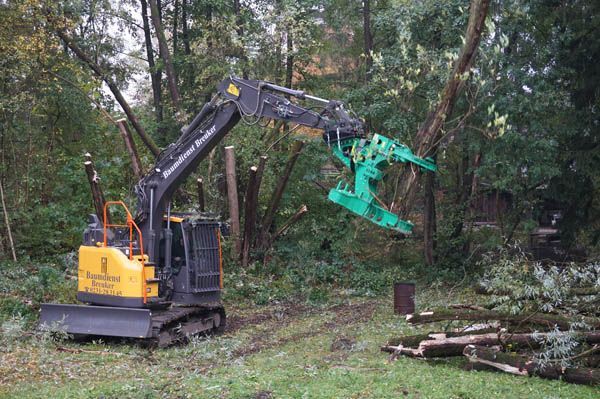 Baumfällung von Baumdienst Breuker