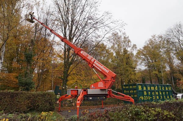 Baumpflege von Baumdienst Breuker