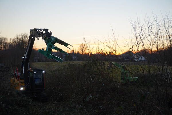 Baumfällung von Baumdienst Breuker
