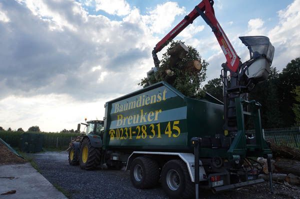 Rodung & Flächenrodung Mit Traktor und Landwirtschaft