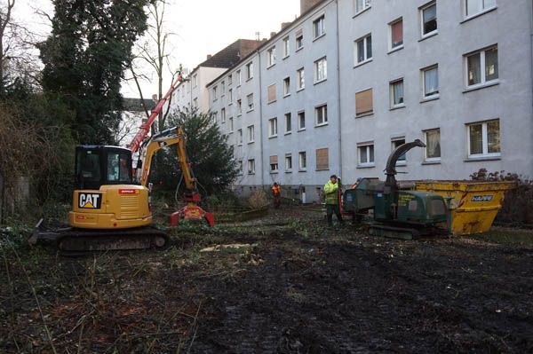 Baumfällung von Baumdienst Breuker