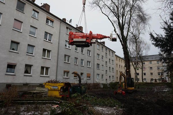 Baumfällung von Baumdienst Breuker