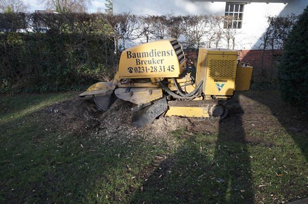 Baumfällung von Baumdienst Breuker