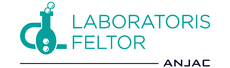 Logotipo de Laboratoris Feltor ANJAC: un icono de un matraz de laboratorio verde azulado y texto sobre un fondo blanco.