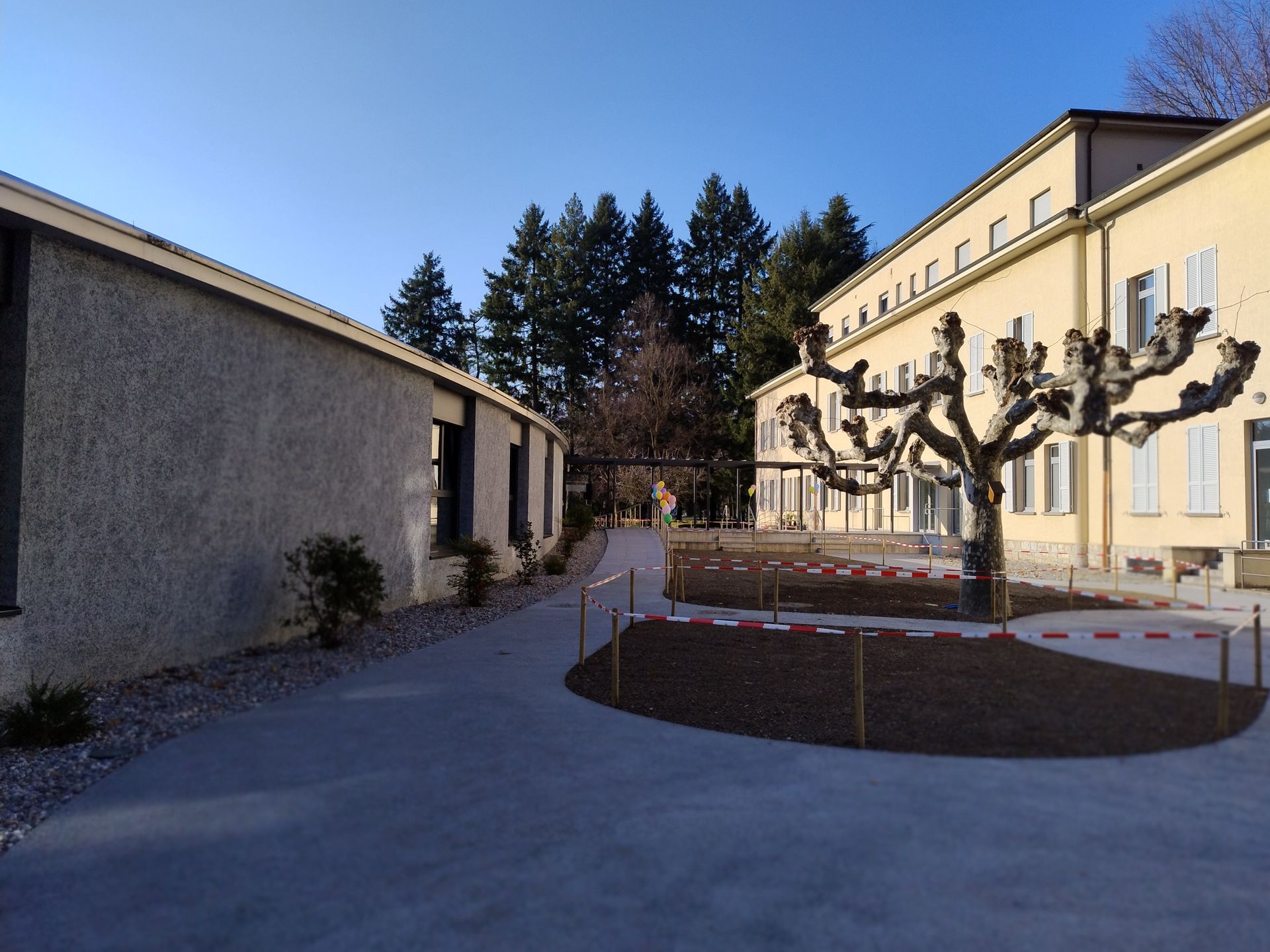 Sentiero grigio tra due edifici, uno giallo chiaro, l'altro grigio. Un albero spoglio in una macchia marrone circolare.