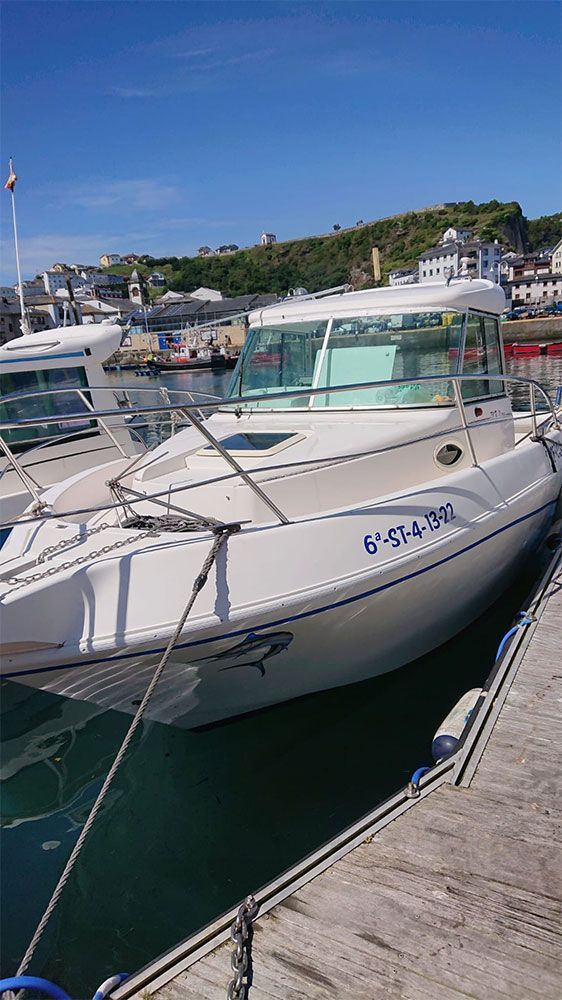 Una lancha motora blanca atracada junto a un muelle de madera en un puerto deportivo soleado