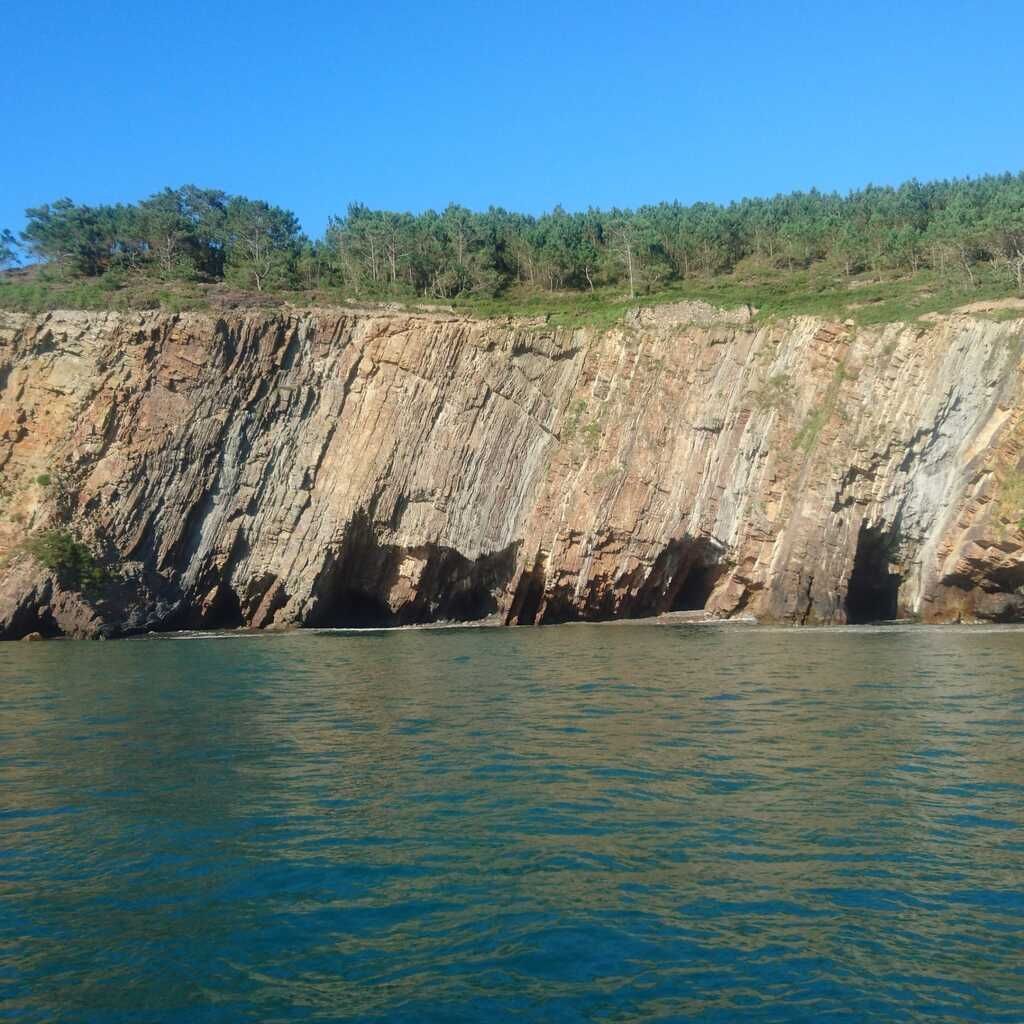 Acantilado rocoso costero con árboles verdes sobre aguas azules tranquilas bajo un cielo despejado.