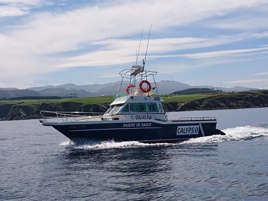 Una pequeña lancha de rescate surca el mar a toda velocidad con una costa montañosa al fondo.