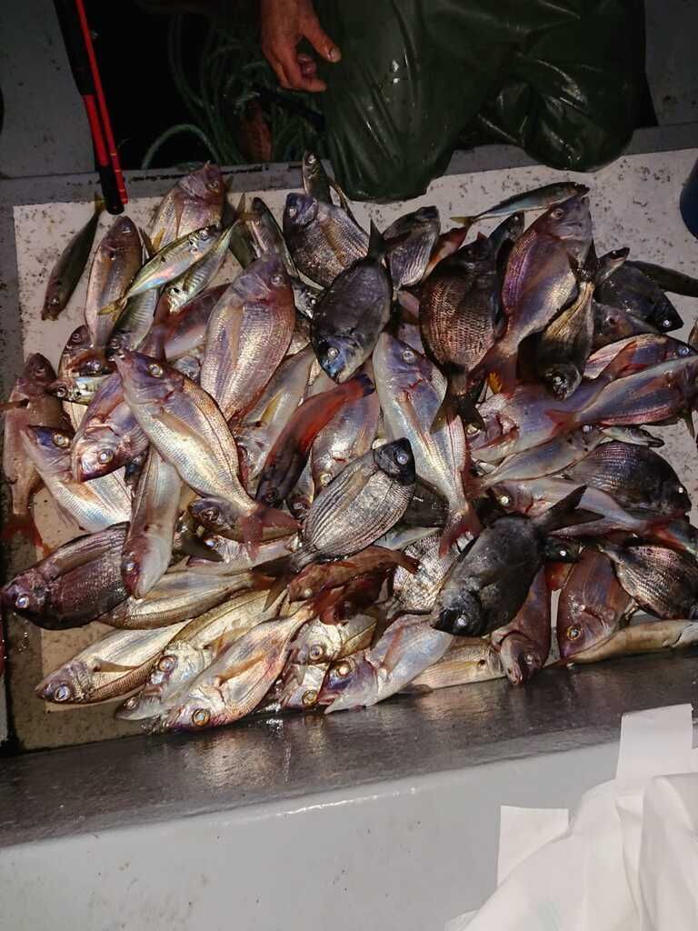 Pescado recién capturado apilado sobre una mesa de mercado, con escamas plateadas y oscuras de distintos colores.