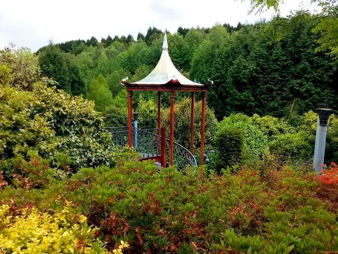Cenador de jardín con techo blanco rodeado de frondosos árboles verdes y coloridos arbustos.