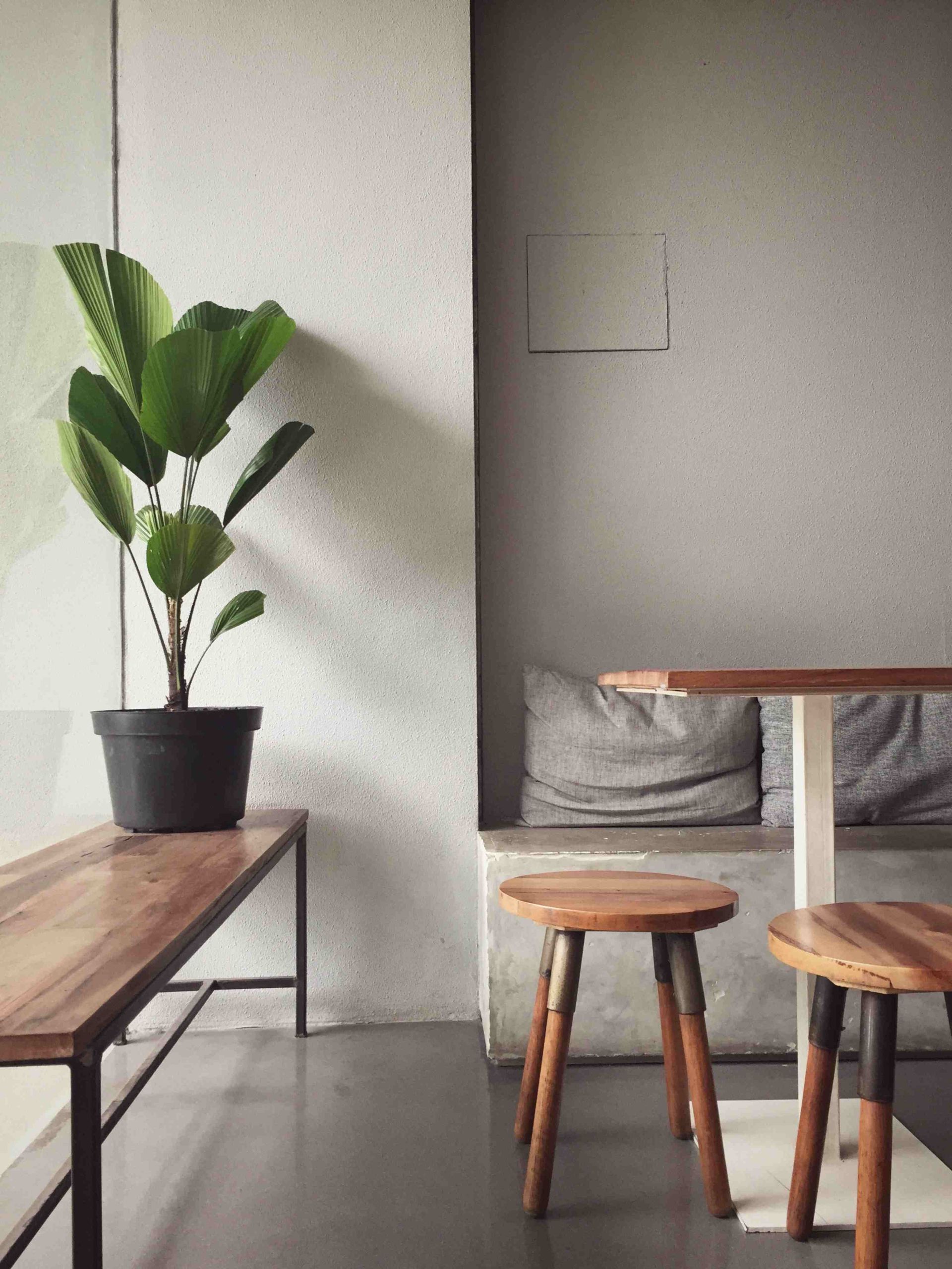 Coin café minimaliste avec tabourets en bois, banquette et plante en pot contre un mur blanc.