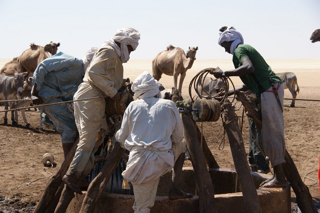Logo - Coiffure Pepp - Bützberg