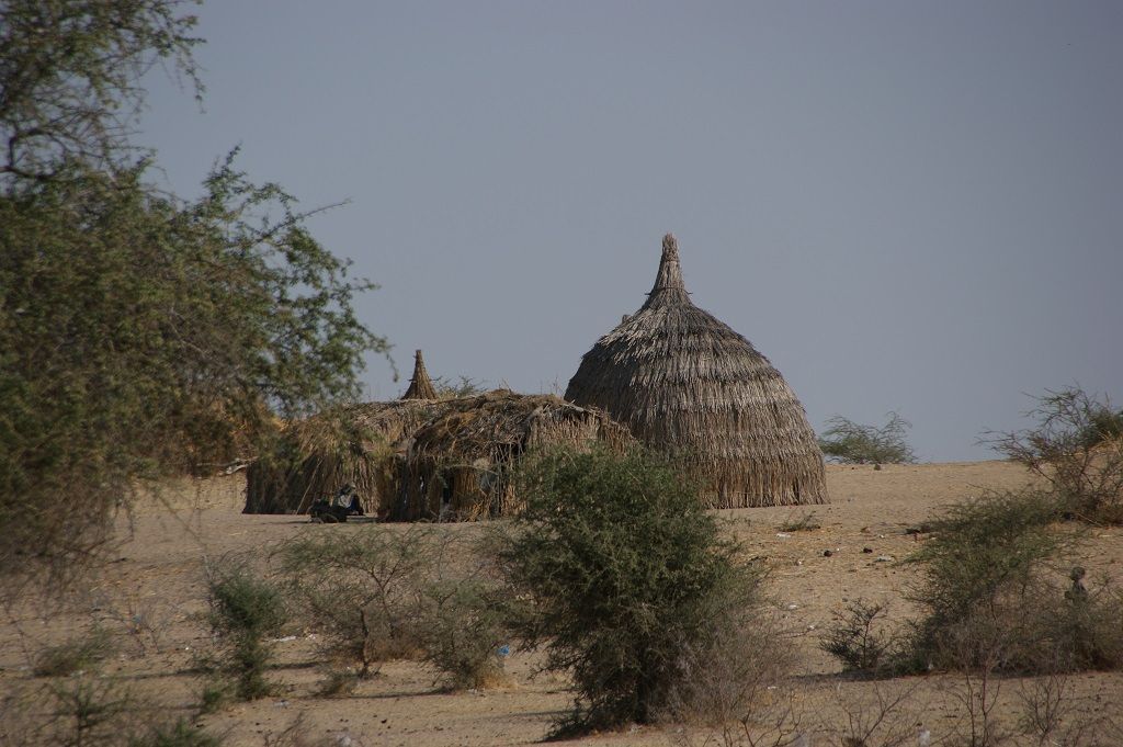 Logo - Coiffure Pepp - Bützberg
