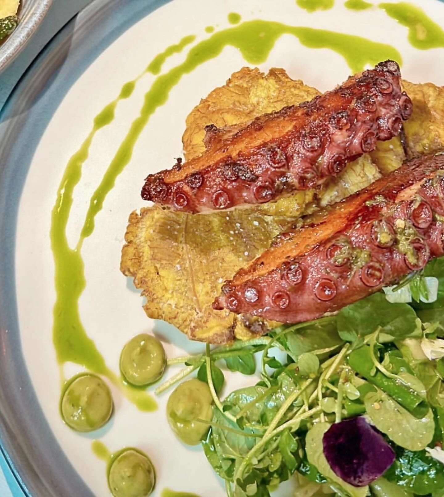 Un primer plano de un plato de comida con pulpo y salsa verde.