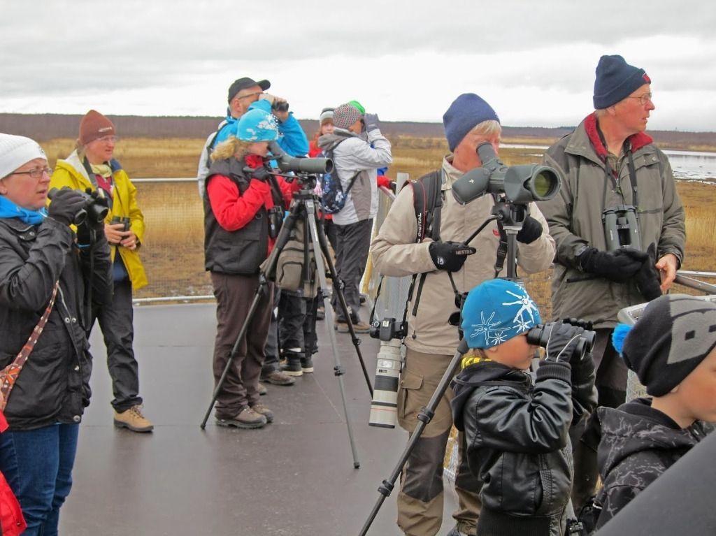 Osea Toimihenkilöt Pro Ry