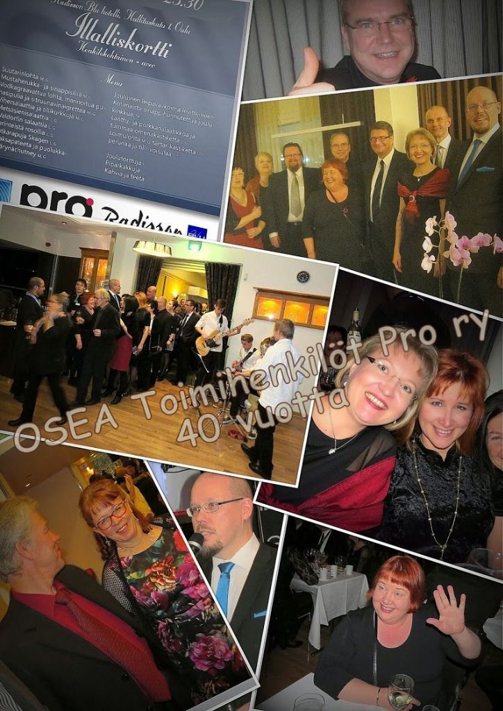 Osea Toimihenkilöt Pro Ry