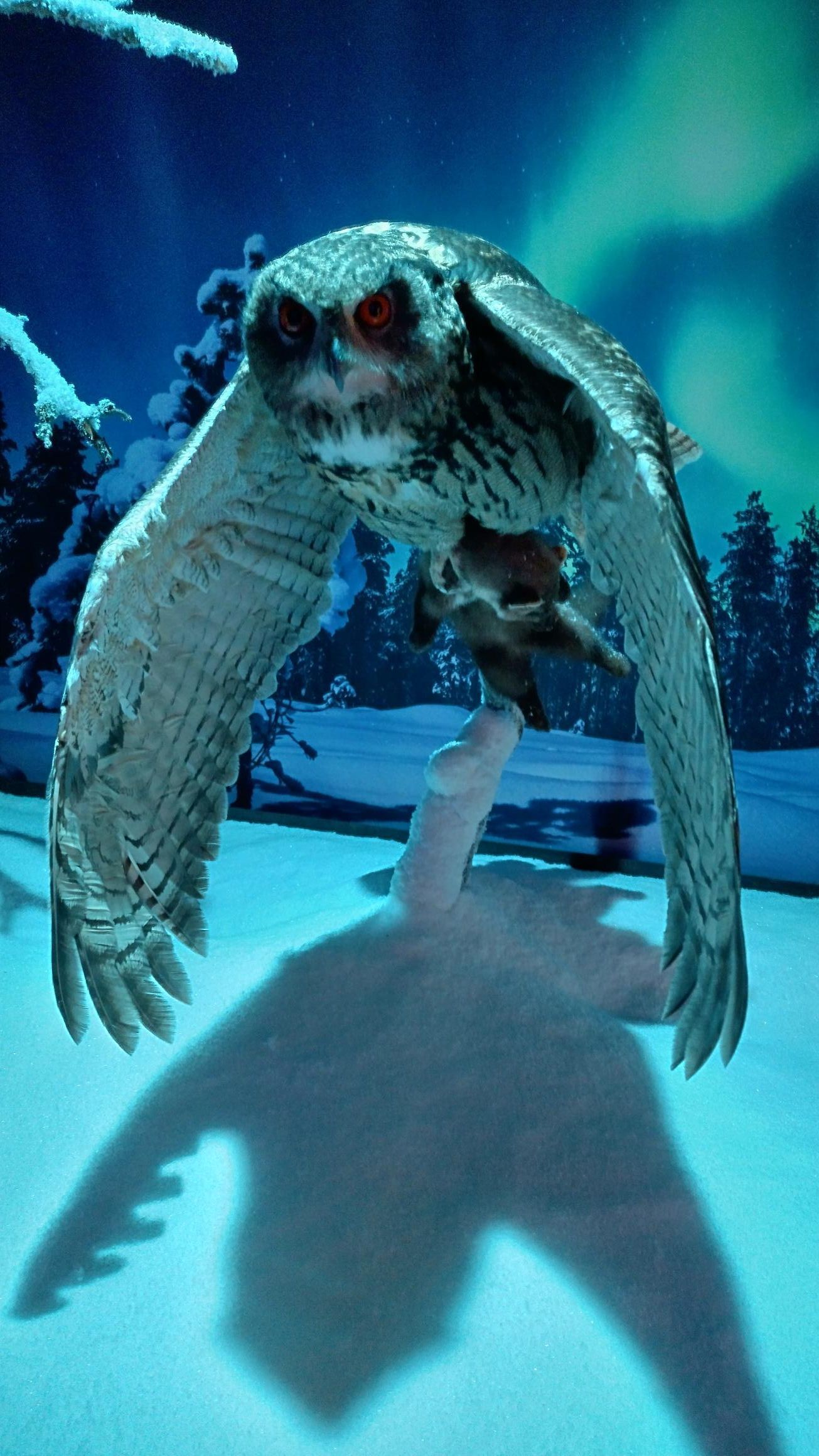 Osea Toimihenkilöt Pro Ry