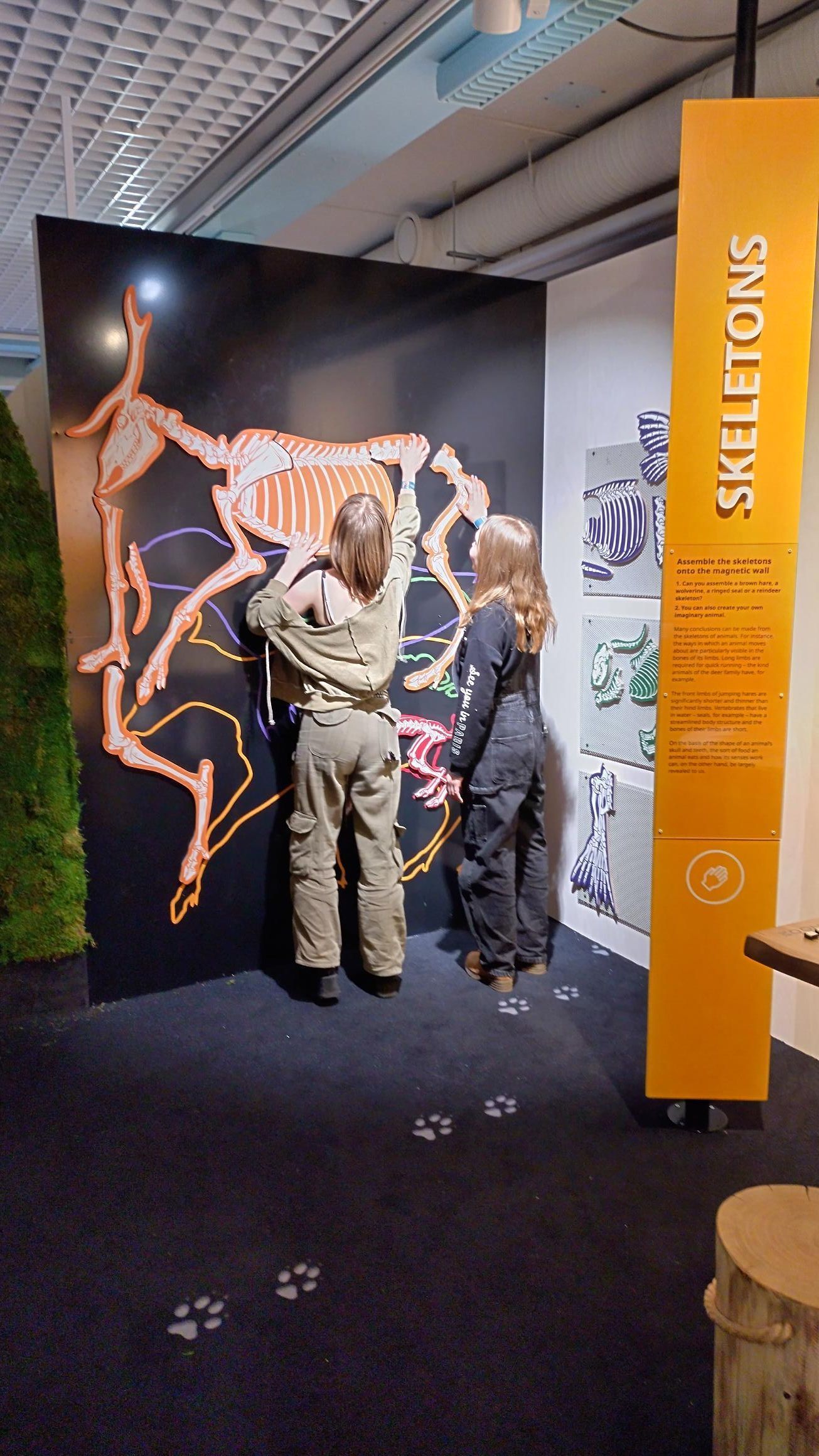 Osea Toimihenkilöt Pro Ry