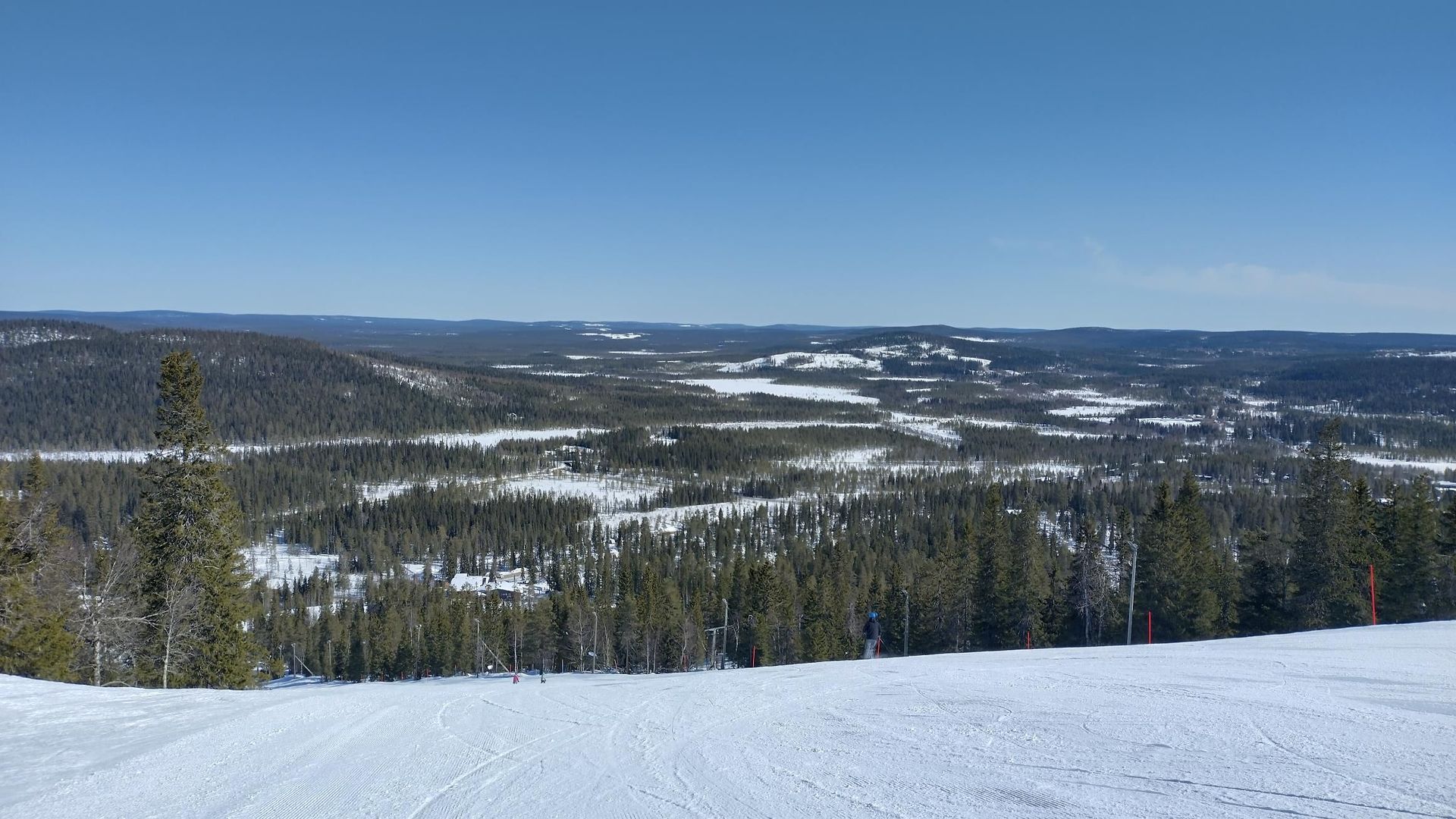 Osea Toimihenkilöt Pro Ry