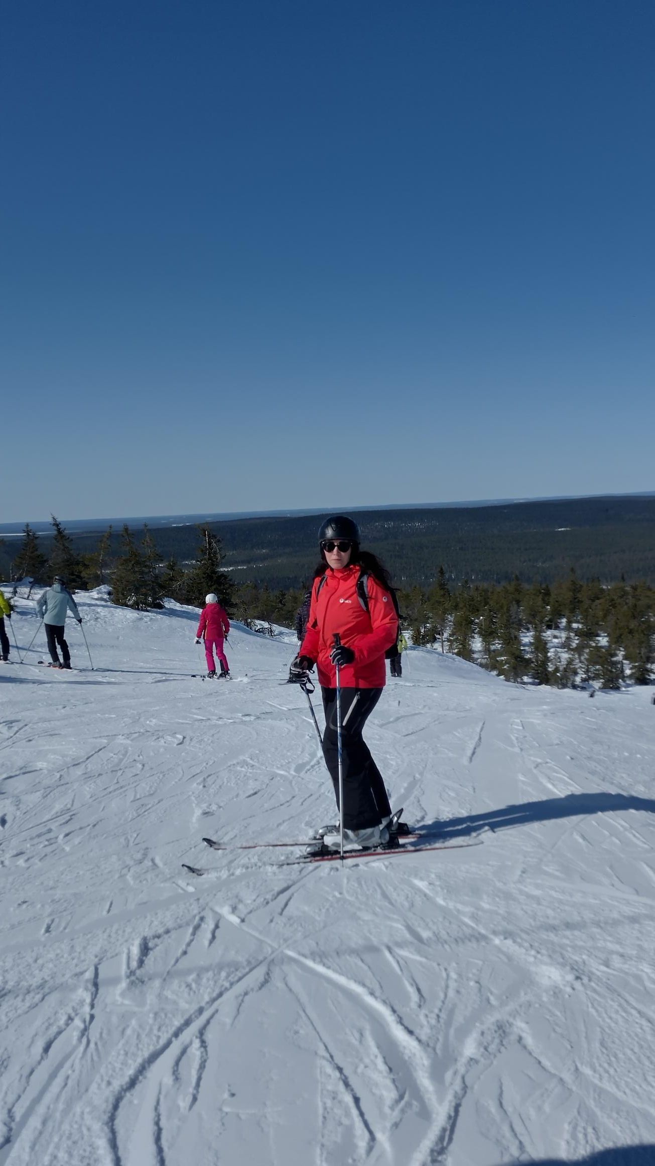 Osea Toimihenkilöt Pro Ry