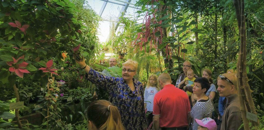 Osea Toimihenkilöt Pro Ry