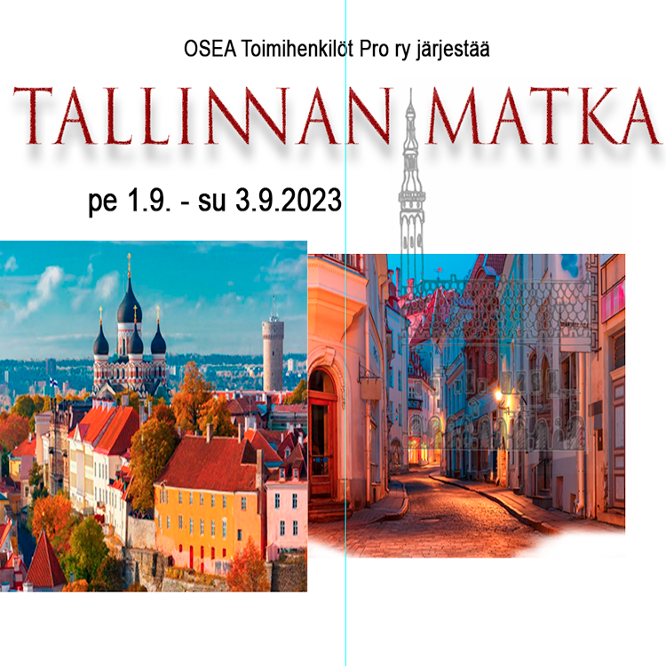 Osea Toimihenkilöt Pro Ry