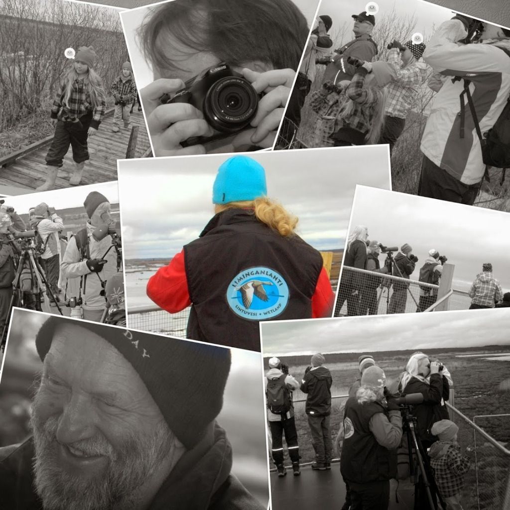 Osea Toimihenkilöt Pro Ry