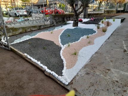 Vendita piante ornamentali - Vivai San Martino