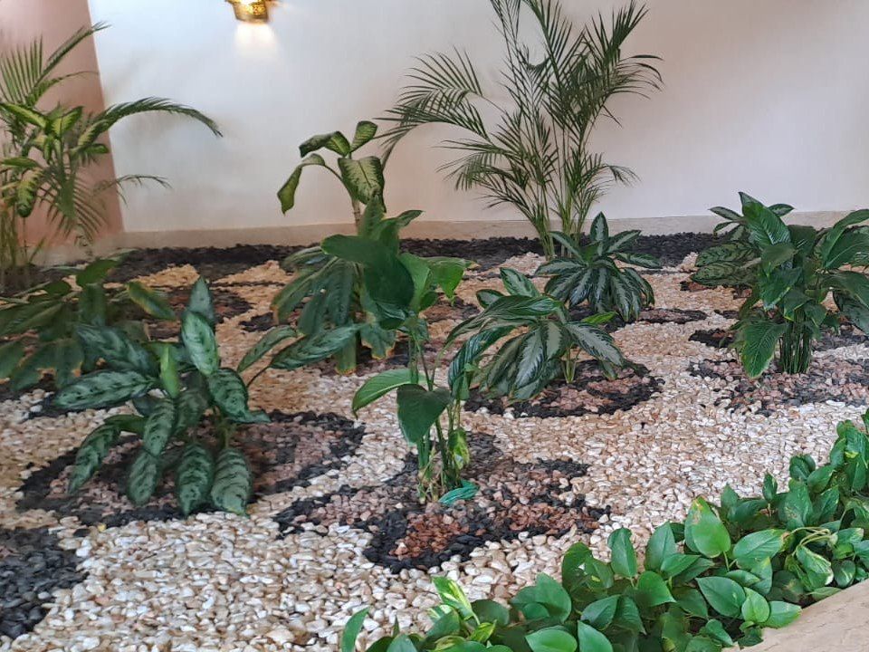 Vendita di piante e fiori per aiuole ornamentali- Vivai San Martino