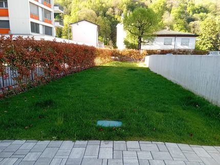 Vendita piante ornamentali e impianti di irrigazione - Vivai San Martino