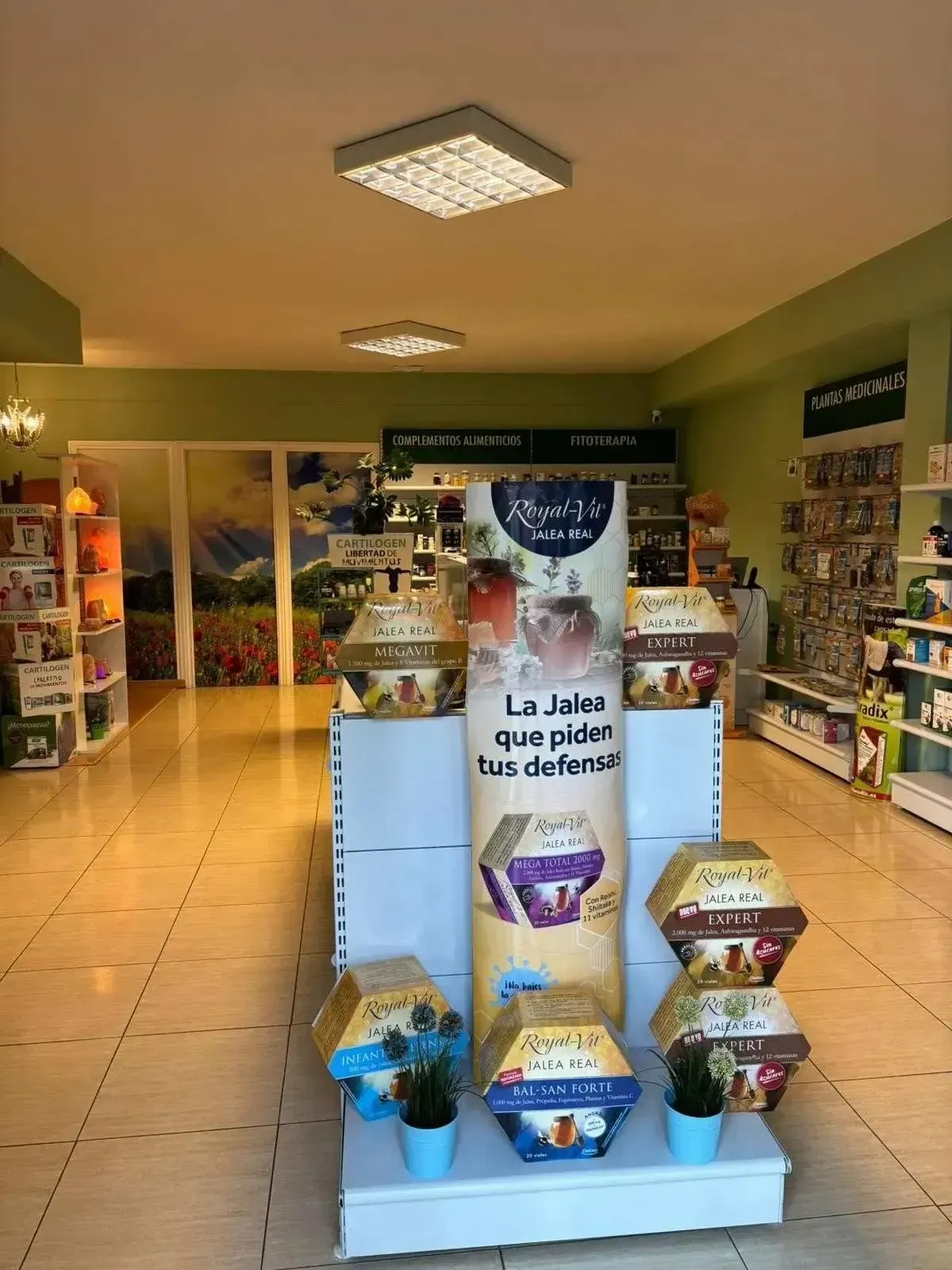 Interior de una farmacia con una exposición de productos en frascos hexagonales.