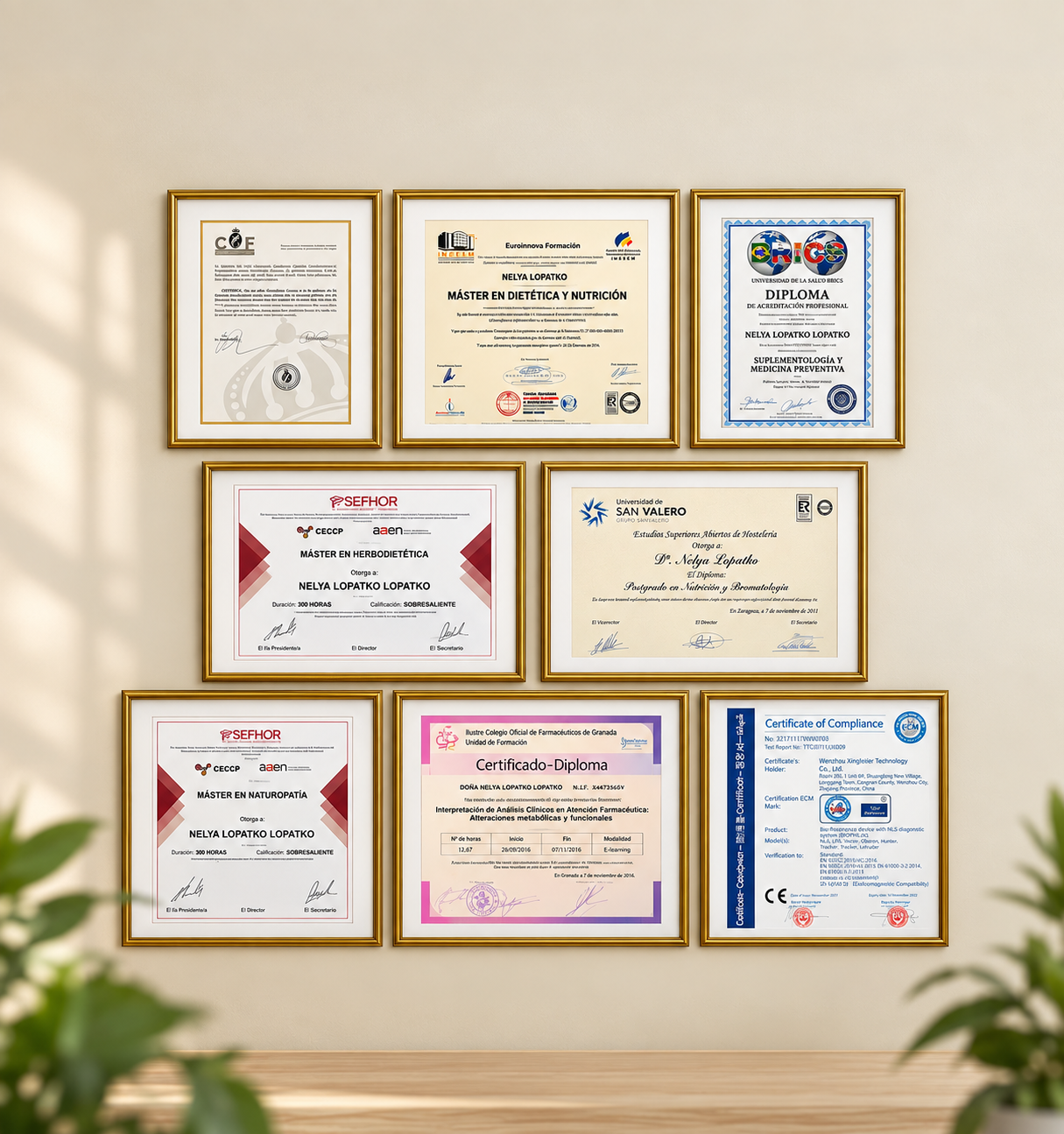 Seis diplomas enmarcados en una pared: 