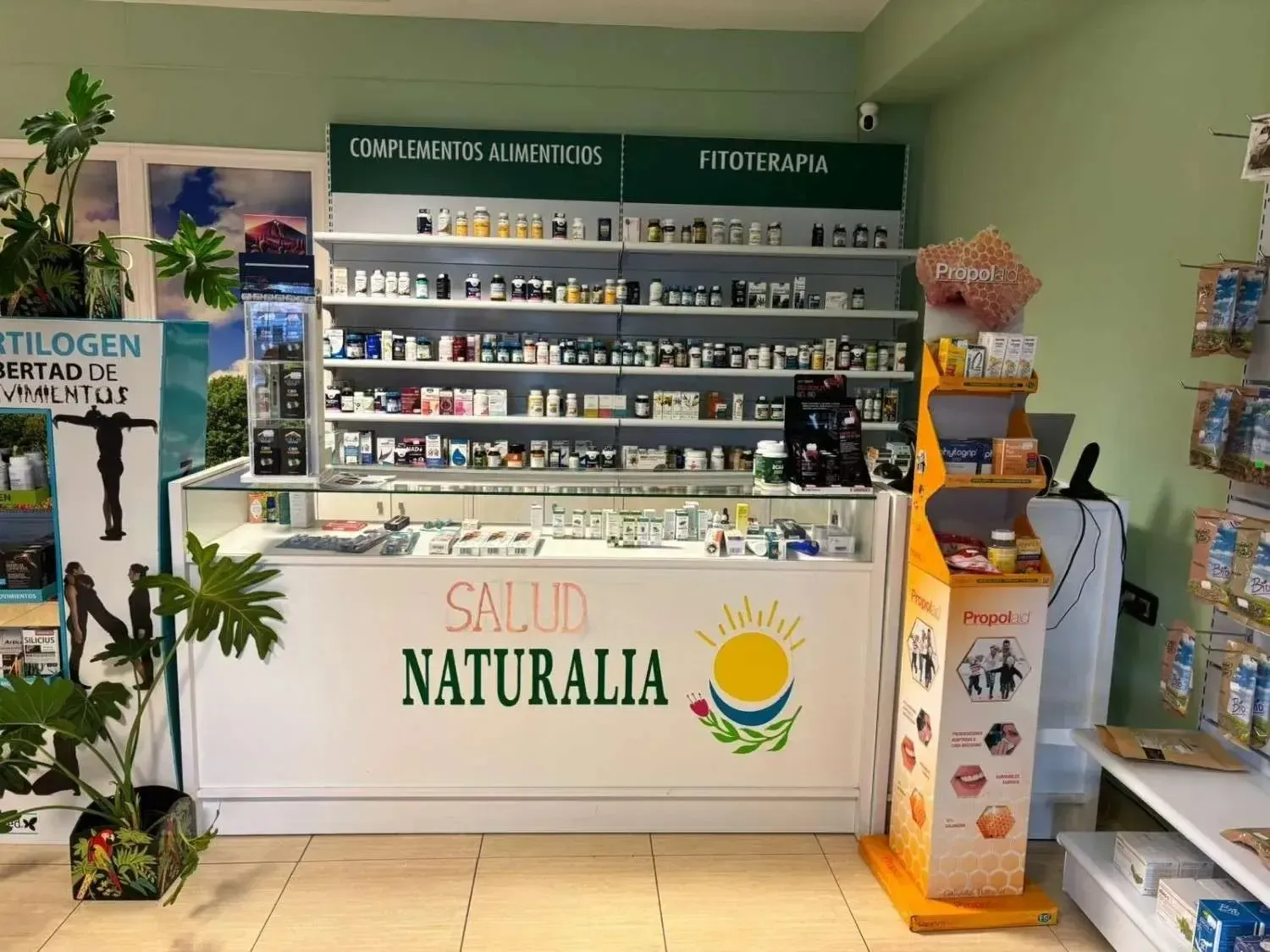 Interior de una tienda de alimentos naturales, mostrando suplementos y mostrador etiquetados