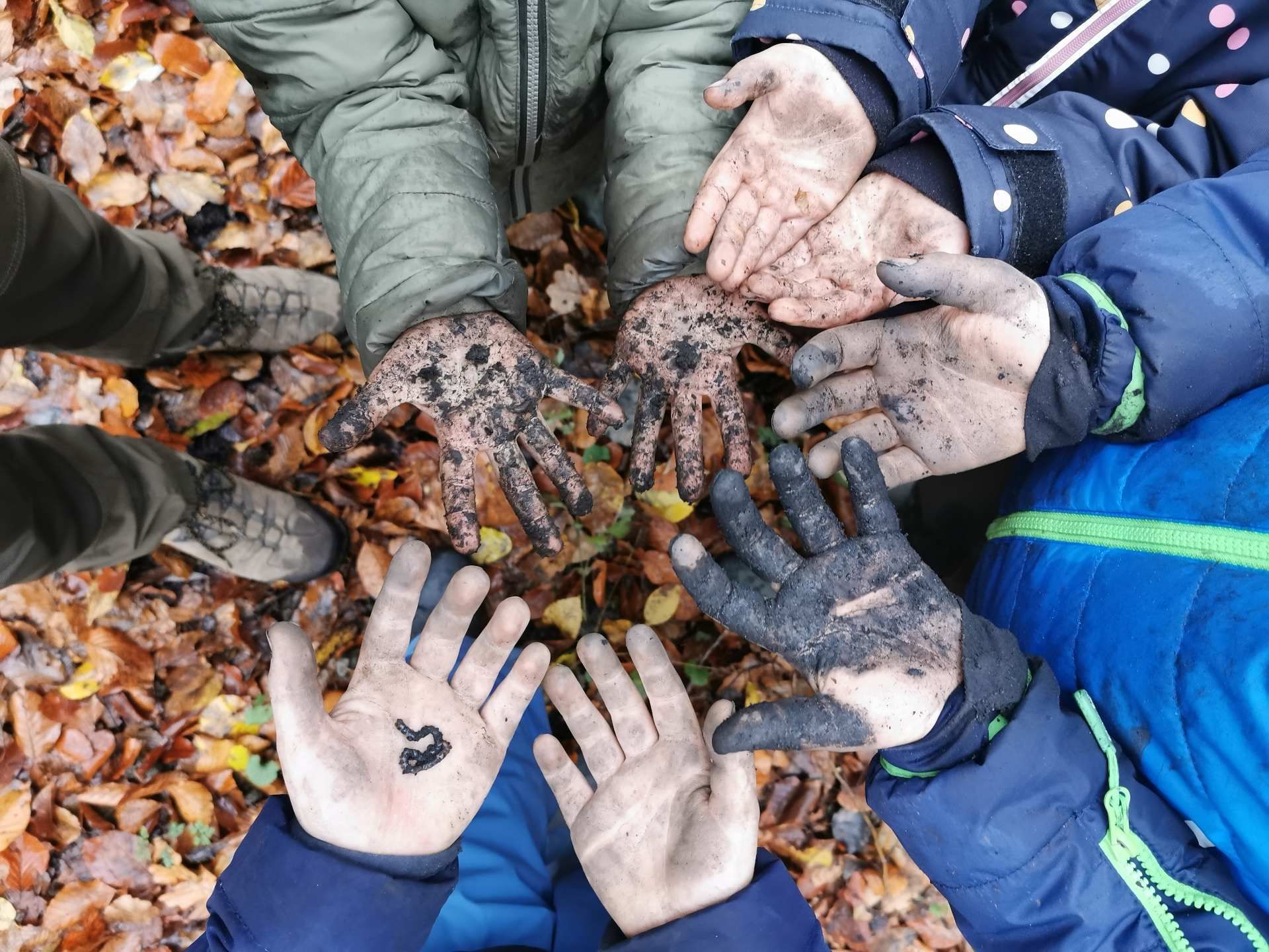 Insekt auf Hand, Foto von Quercus Naturbildung - Dr. Isabelle Niedereichholz