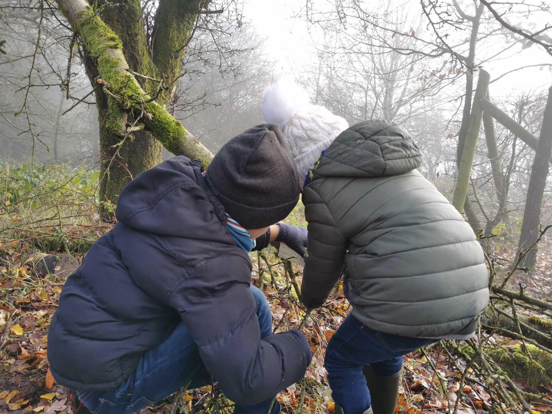 Bastelmaterial sammeln, Foto von Quercus Naturbildung - Dr. Isabelle Niedereichholz