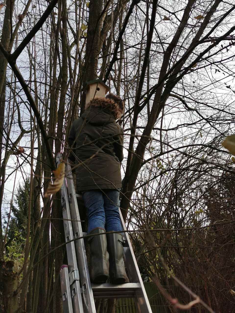 Nistkästen, Foto von Quercus Naturbildung - Dr. Isabelle Niedereichholz