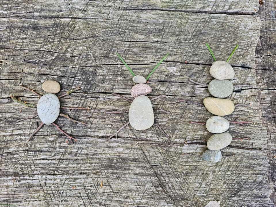 Steintiere, Foto von Quercus Naturbildung - Dr. Isabelle Niedereichholz