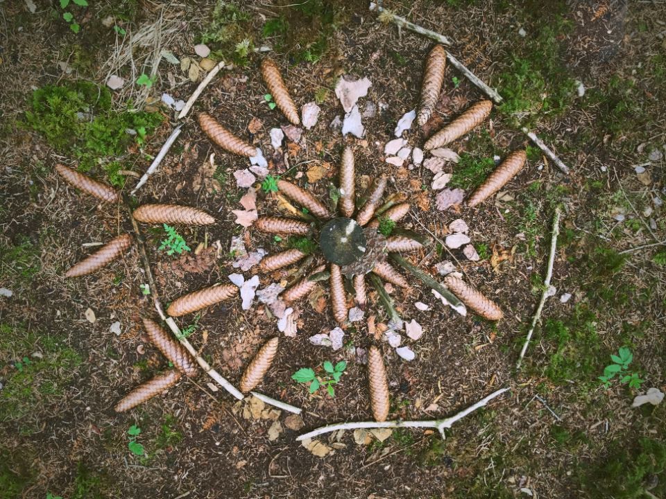 Kunst mit Naturmaterialien