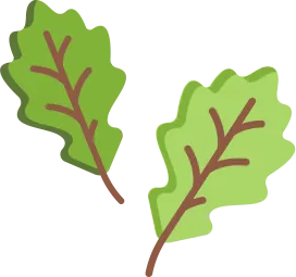 Logo von Quercus Naturbildung - Dr. Isabelle Niedereichholz-Dudweiler
