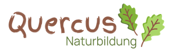 Logo von Quercus Naturbildung - Dr. Isabelle Niedereichholz