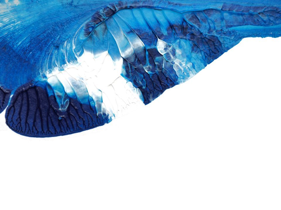 Malerei Sonderegger GmbH