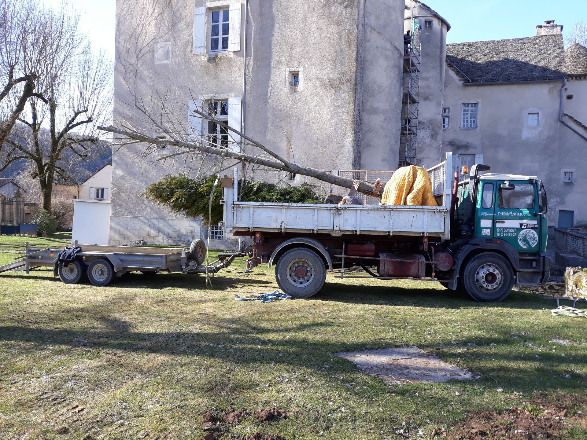 Un camion à remorque qui contient un arbre coupé