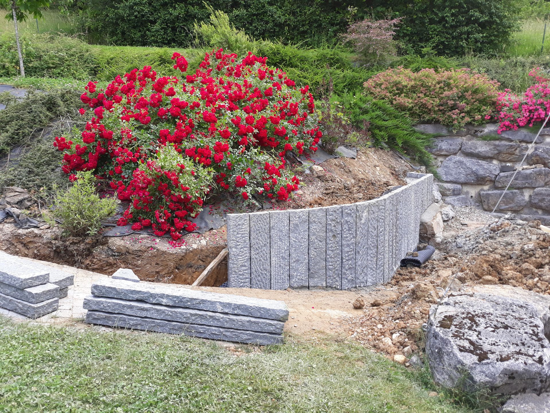 Un plant de fleurs sur une motte de terre et entouré par une moitié de clôture en pierre