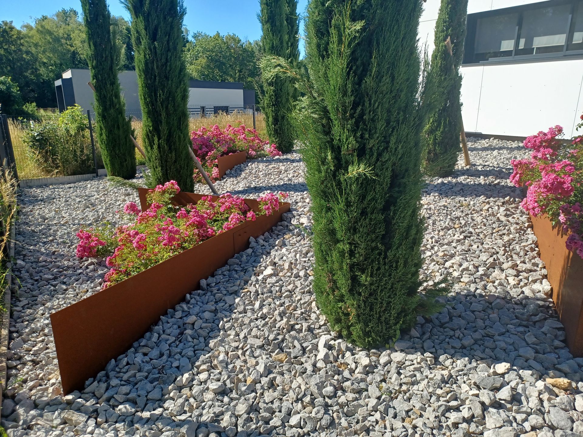 Des buissons de fleurs violettes et des sapins installés devant un bâtiment