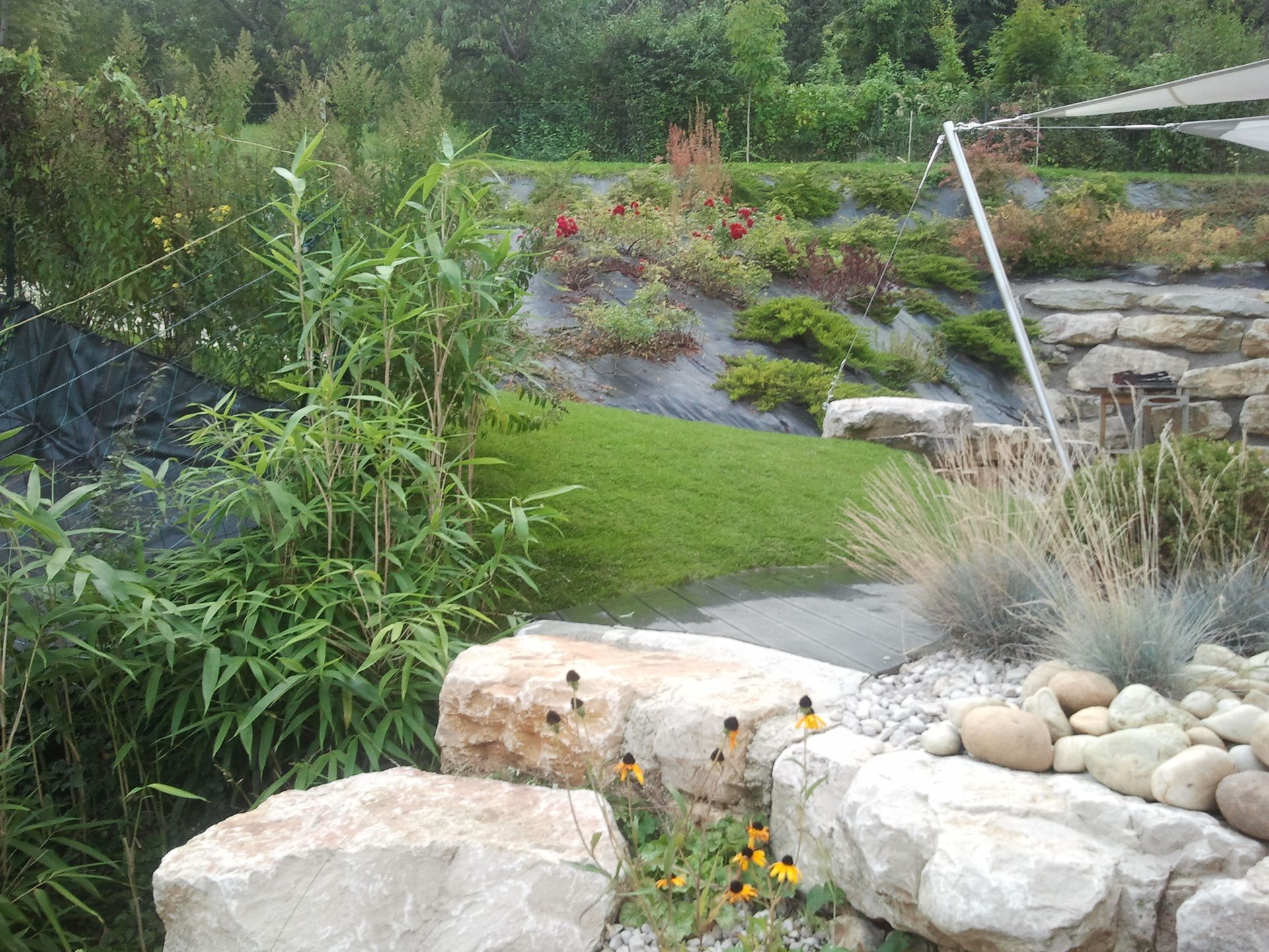 Une pelouse entourée de plantations et de pierres